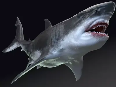 Dinosaur MEGALODON - Sea Monster Series 5 Low-poly 3D model