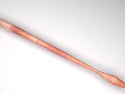 Straight Earthworm 3D model