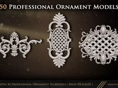 Noya 50 Professional Ornament 3d Models High Detailed Free low-poly 3D model