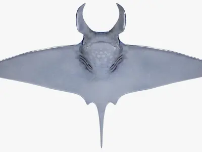 Rigged and Animated Manta ray sea creature Low-poly 3D model