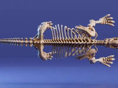 Realistic Mammals Fossil - Megatherium Low-poly 3D model