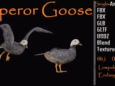 Emperor Goose Bird Low-poly 3D model