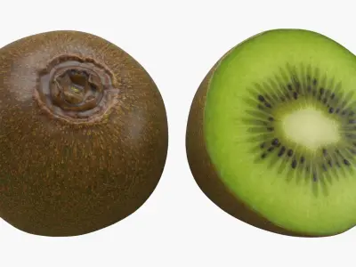 Half Cut Kiwi 3D model