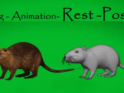Nutria Coypu Rodent Free low-poly 3D model