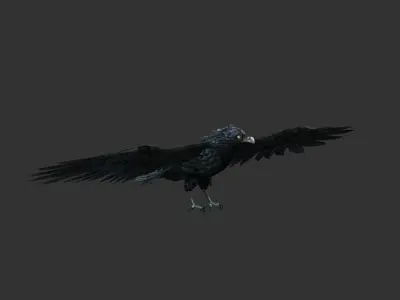 crow  bird Low-poly 3D model