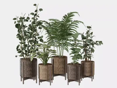 Pots with Plants 3D model