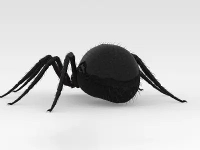 Giant Spider 3D model