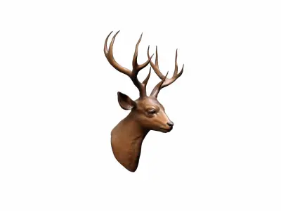  3d Render Close Up Of Red Deer Head 3D model