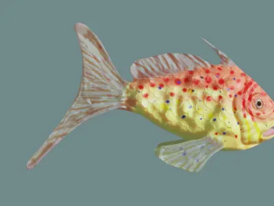 goldfish lowpoly fish Low-poly 3D model
