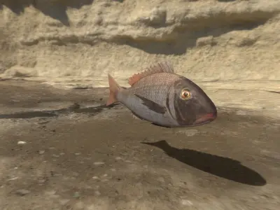 Fish 3D flying in sky Low-poly 3D model