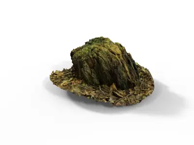 Forest Tree Stump 4K -Part 4- Free low-poly 3D model