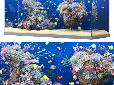 Aquarium 3 3D model