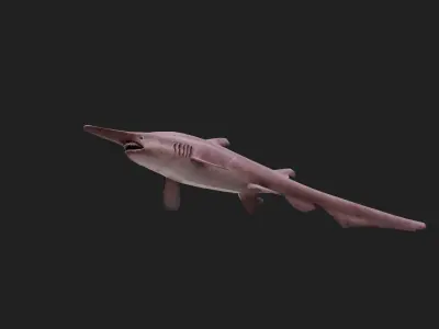 Goblinshark Low-poly 3D model