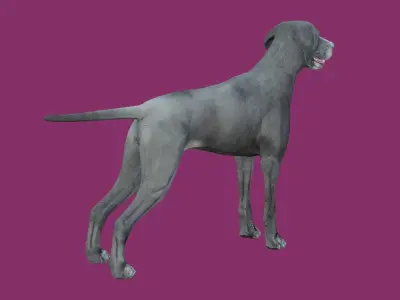 dog lowpoly 3d model 3D model