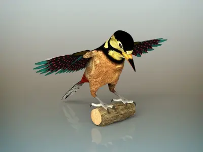 Woodpecker Bird 3D model