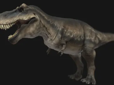 Tyrannosauru rex Low-poly 3D model
