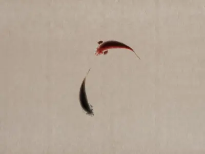 Ink Fish ink painting animation 3D model