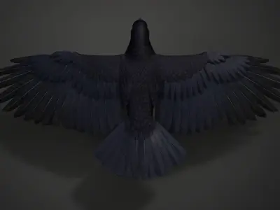Carrion Crow Animated VFX Grace 3D model