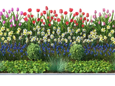 Flower beds 3D model