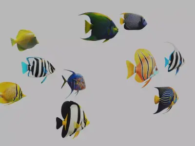 Fish 10 3D model