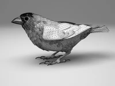 House finch - rigged - animated - Standard PBR VRAY Low-poly 3D model