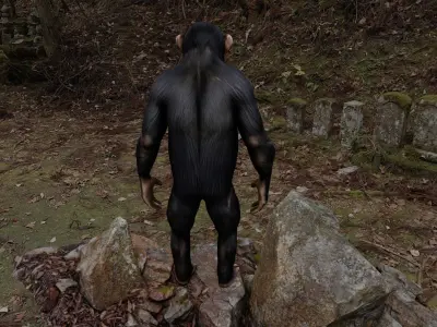 Chimpanzee Character - Realistic - Rigged - Animated for Games Low-poly 3D model