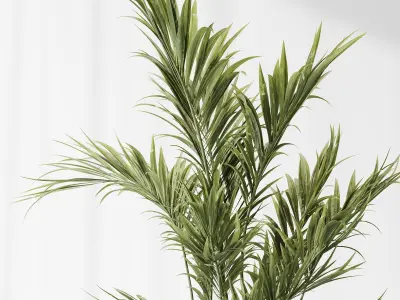 Bird Of ParadiseBird and Areca Majesty Vase 12 3D model