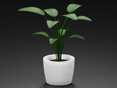 Potted Plant 3D model order