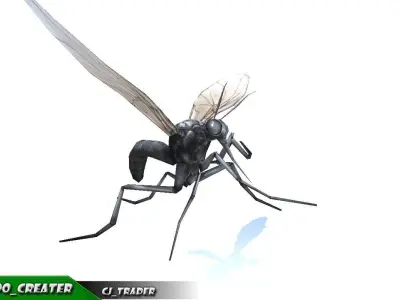 Low-Poly Mosquito Rigged Animated 3d model Low-poly 3D model