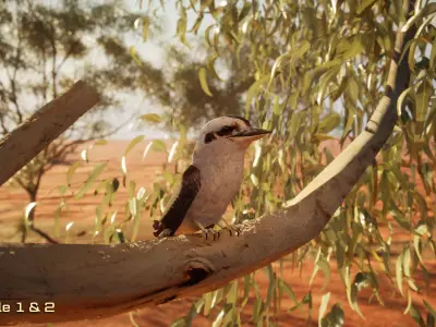 Game Ready Kookaburra with Animations Low-poly 3D model
