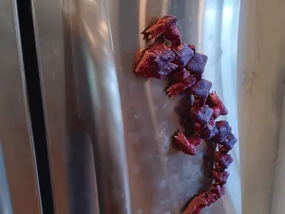 lizard dragon magnet - flexi fidget toy 3D print model