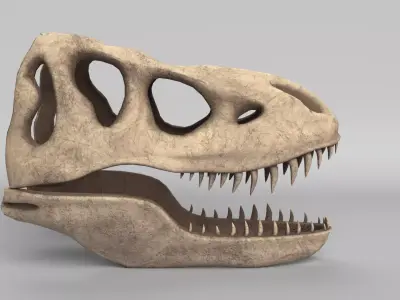 Tyrannosaurus Rex Skull 3D model