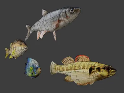 Fish collection low-poly fishes Low-poly 3D model