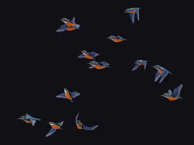 Kingfisher Flock Animated Bird Swarm Hummingbird Shoal Birds Low-poly 3D model