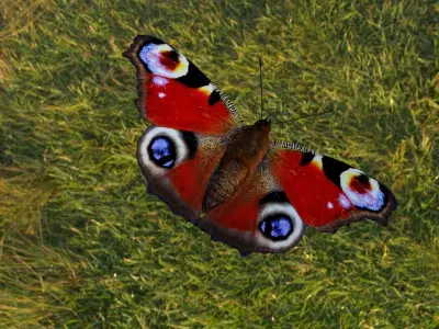 butterfly animation Low-poly 3D model