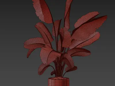 indoor plant 030 3D model