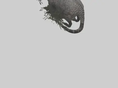 Malayan Civet sneaking model Low-poly 3D model