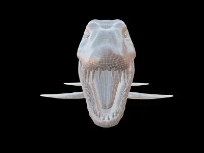 Elasmosaurus platyurus 3D model