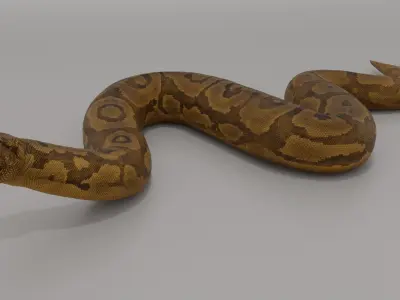 Titanoboa  Low-poly 3D model