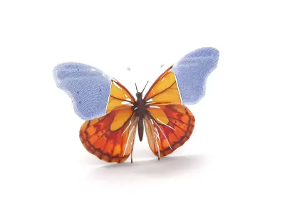 Elegant Monarch Butterfly model pack Low-poly 3D model