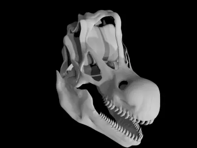 Brachiosaurus skull Low-poly 3D model