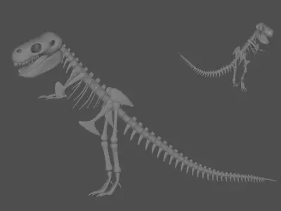 Tyrannosaurus Rex Fossil 3D model