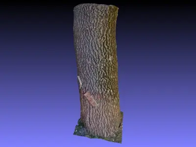PART OF TREE Free 3D model