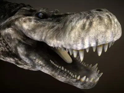 Purussaurus Low-poly 3D model