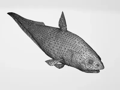 Abyssal Grenadier Deep Sea Fish  Low-poly 3D model