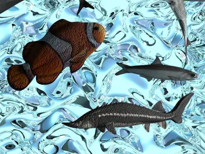 Water Animals In Water 3D model