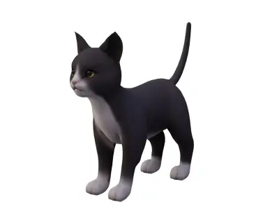 Cat black white  Low-poly 3D model
