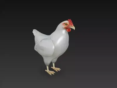 Chicken 3D Model Basic - Low Poly Simple Low-poly 3D model