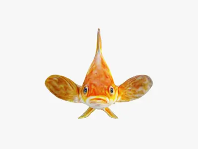 Goldfish Free 3D model