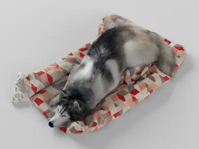 Sleeping Husky Dog 3D model